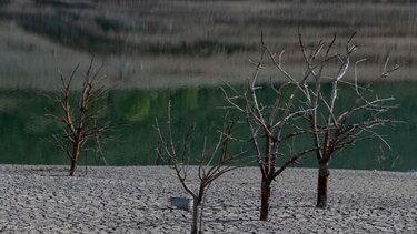 Ξηρασία στο 38% του εδάφους της χώρας