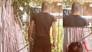 «Χαίρεται με το να σκοτώνει ο σκύλος του γάτες» – Μαρτυρίες για την φρικτή δράση του ιδιοκτήτη πίτμπουλ