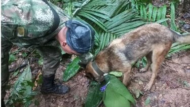 Κολομβία: Εξακολουθούν να αγνοούνται στη ζούγκλα τα τέσσερα παιδιά που διασώθηκαν μετά την πτώση του αεροσκάφους τους