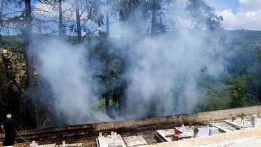 "Άρπαξαν" τα κυπαρίσσια δίπλα στο νεκροταφείο