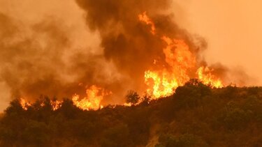 Ο Καναδάς στις φλόγες, οι ΗΠΑ πνίγονται από τους καπνούς!	