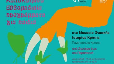 Καλοκαιρινά προγράμματα για παιδιά στο Μουσείο Φυσικής Ιστορίας 