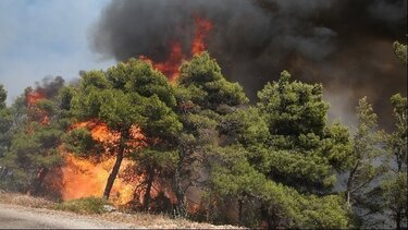 Πολύ υψηλός κίνδυνος πυρκαγιάς σήμερα για 5 περιφέρειες