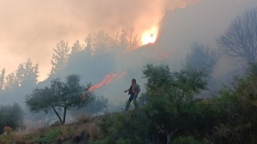 Προφήτης Ηλίας: Έτρεξαν όλοι να σβήσουν την φωτιά - Δείτε φωτογραφίες
