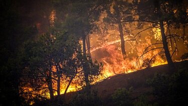 Φωτιές: Ακόμα ένα εφιαλτικό βράδυ στη Ρόδο - Αναζωπυρώσεις στην Κέρκυρα