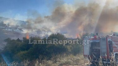 Μεγάλη φωτιά στη Λαμία, κάτω από τον Προφήτη Ηλία