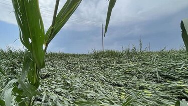 Μεγάλες καταστροφές από ανεμοστρόβιλο στην Ξάνθη – Σάρωσε τα πάντα