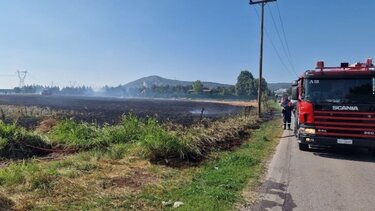 Φωτιά σε ξερά χόρτα στην περιοχή της Σίνδου