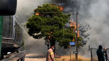 Εκκενώνεται η Οινόη- Μήνυμα του 112 στους κατοίκους