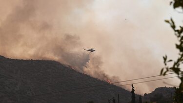 Κατεπείγουσα προανακριτική εξέταση από την Εισαγγελία για τις καταστροφικές πυρκαγιές