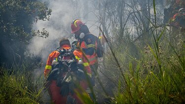 Πορτοκαλί συναγερμός για φωτιά, σήμερα, σε 6 περιφέρειες - Σύλληψη για εμπρησμό στην Ηλεία