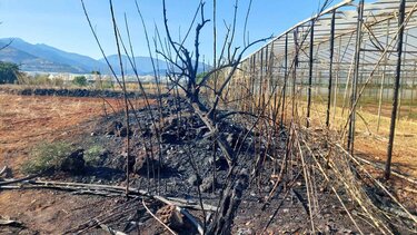 Δύο πύρινα μέτωπα στο Λασίθι - Υπό έλεγχο οι φωτιές