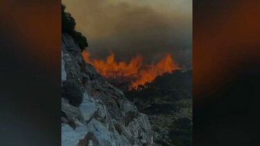 Νάξος: Σε πλήρη εξέλιξη η φωτιά που ξέσπασε σε δασική έκταση – Σηκώθηκαν εναέρια μέσα