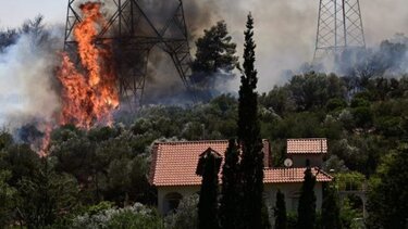 Φωτιά στον Κουβαρά: Έκκληση για τα ζώα – «Μην τα εγκαταλείπετε, κάθε ζωή έχει αξία»