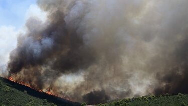 Πυρκαγιές: Έρχεται βοήθεια από Ρουμανία, Σλοβακία και Πολωνία