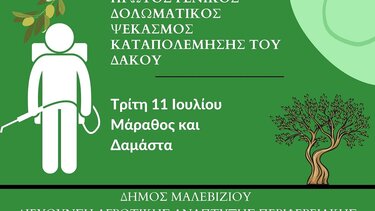 Ξεκινούν οι ψεκασμοί κατά του δάκου σε Δαμάστα και Μάραθος