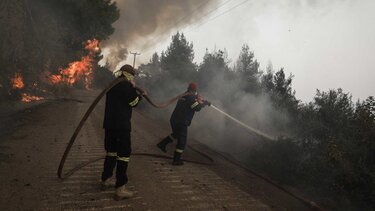 Βόλος: Υπό έλεγχο η φωτιά στις Γλαφυρές