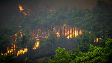 Ολονύχτια μάχη με τις φλόγες σε Βόλο, Λαμία, Ρόδο και Κάρυστο – Δύο νεκροί