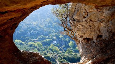 Εν τω Σπηλαίω τίκτεται…