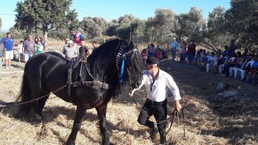 Ώρα για «αλώνισμα» στη Μονή του δήμου Μελεβιζίου