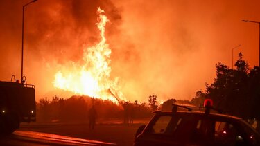 Πυρκαγιές: Μία από τις πλέον καταστροφικές χρονιές των τελευταίων 15 ετών!