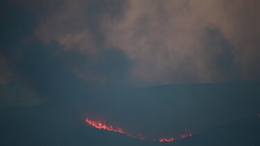 Αναζωπύρωση στα Βάγια Βοιωτίας - Απεγκλωβίστηκαν 2 κτηνοτρόφοι