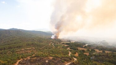 Εύβοια: Νέες πύρινες εστίες σε Δοκό και Κοντοδεσπότι 