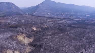 Αλεξανδρούπολη: Συνεχείς μεγάλες αναζωπυρώσεις, τεράστιες οι καταστροφές-Η πυρκαγιά πέρασε στο Ν. Ροδόπης