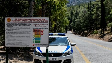 Φωτιές: Τέσσερις προσαγωγές υπόπτων για εμπρησμό σε Αυλώνα και Μενίδι - Αποκαλυπτικές φωτογραφίες