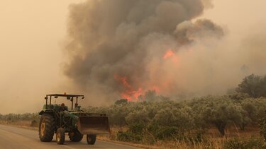 Φονικές πυρκαγιές: Στους 26 οι νεκροί μετανάστες στο δάσος της Δαδιάς!