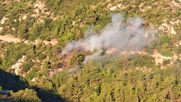 Φωτιά σε φαράγγι- Πήγε να κλαδέψει την κερασιά... και συνελήφθη- Βίντεο