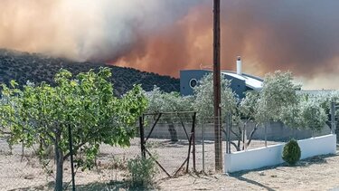 Φωτιά στη Βοιωτία: Εκκενώθηκαν τέσσερα χωριά στο Δίστομο