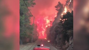 Οι μάχες των πυροσβεστών από την Κρήτη σε Πάρνηθα, Βοιωτία και Άνδρο- Βίντεο