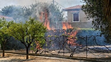 Φωτιές: Ολοκληρώθηκε η βασική φάση της καταγραφής ζημιών σε Αττική και Κορινθία