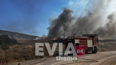 Δυο πυρκαγιές ταυτόχρονα στα Ψαχνά - Μήνυμα του 112