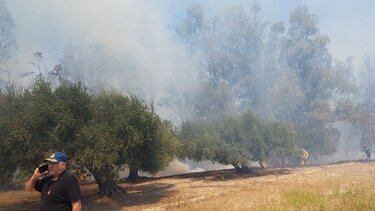 Ηράκλειο: "Συναγερμός" για τη φωτιά στα Καλύβια - Καρέ καρέ η μεγάλη μάχη να σωθεί ο κάμπος