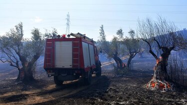  Μάχη με τις αναζωπυρώσεις σε Έβρο και Ροδόπη, διάσπαρτες εστίες στην Πάρνηθα 