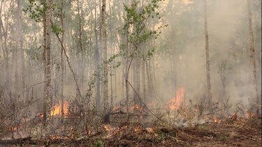 Χιλιάδες άνθρωποι απομακρύνθηκαν εξαιτίας των πυρκαγιών στον Καναδά