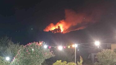 Φωτιά στην Αγία Ειρήνη Κεφαλονιάς 