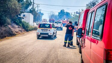 Φωτιά στην Βοιωτία: Με σκάφη απομακρύνονται 60 άτομα από την παραλία Σαράντη