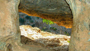 Φυσιολατρική εκδρομή στη Μίλατο από τους "Δρόμους Ζωής"