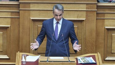 Μητσοτάκης για πυρκαγιές: Αύξηση προστίμων, άμεση φυλάκιση και για απλή αμέλεια - Ανθρωπογενής η αιτία της φωτιάς στον Έβρο