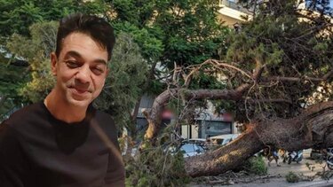 Φονικό πεύκο: Ποσό 385.000 ευρώ επιδικάστηκε στην οικογένεια του αδικοχαμένου Παναγιώτη