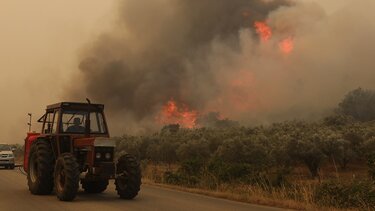 Μάχη με την πύρινη λαίλαπα για 13η μέρα στη Δαδιά – Χωρίς ενεργό μέτωπο τα Φάρσαλα