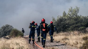 Φωτιά στην Πάρνηθα: Επιτέθηκαν σε πυροσβέστες στην Αγία Παρασκευή Μενιδίου 