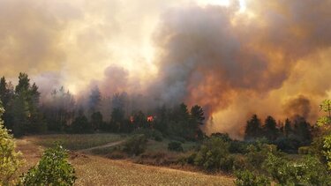 Ελεύθερος υπό όρους ο 65χρονος κατηγορούμενος για τις πυρκαγιές στην Αρχαία Ολυμπία