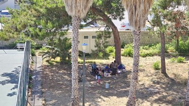 Ρομά έχουν "κατασκηνώσει" κατά μήκος της παραλιακής- Γιατί έρχονται στην Κρήτη