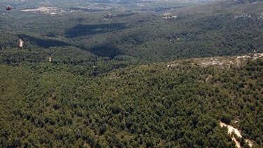 Aπαγόρευση κυκλοφορίας στο Σέιχ Σου την Κυριακή