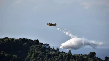 Φωτιά σε δασική έκταση στην Πούντα Σκιάθου