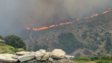 Άνδρος: Σε εξέλιξη δύο πυρκαγιές - ήχησε το 112